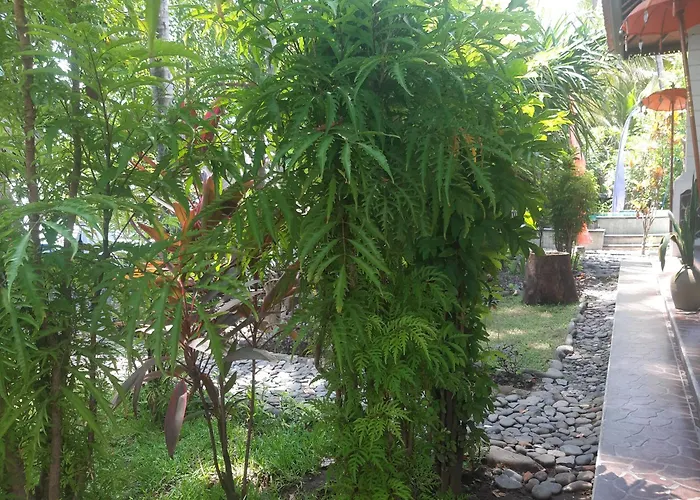 ホリデーパーク Bali *